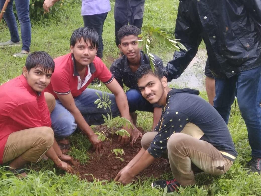 Tree Plantation Drive